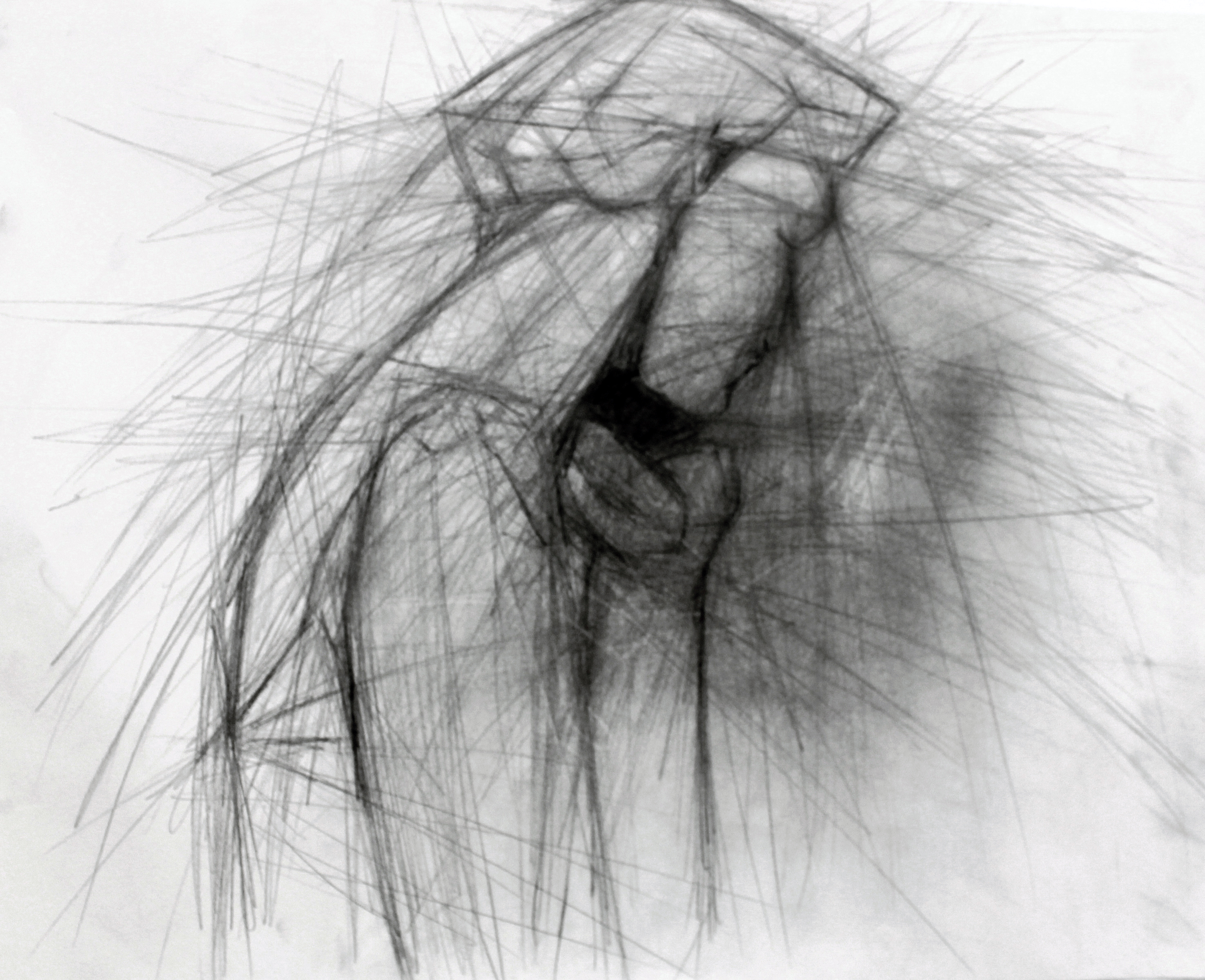 2951x2400 introduction to drawing liz luna ceramics - Common Drawing