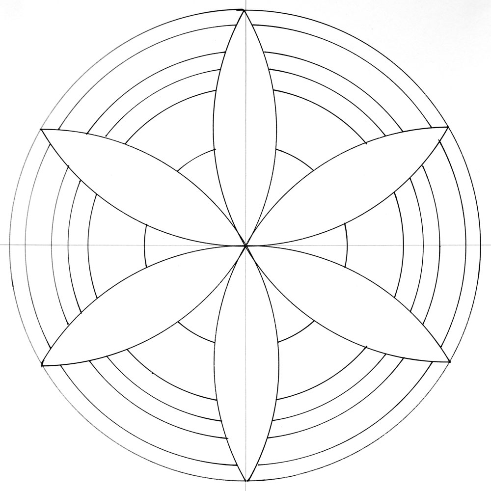 Compass Flower Drawing at PaintingValley.com | Explore collection of ...