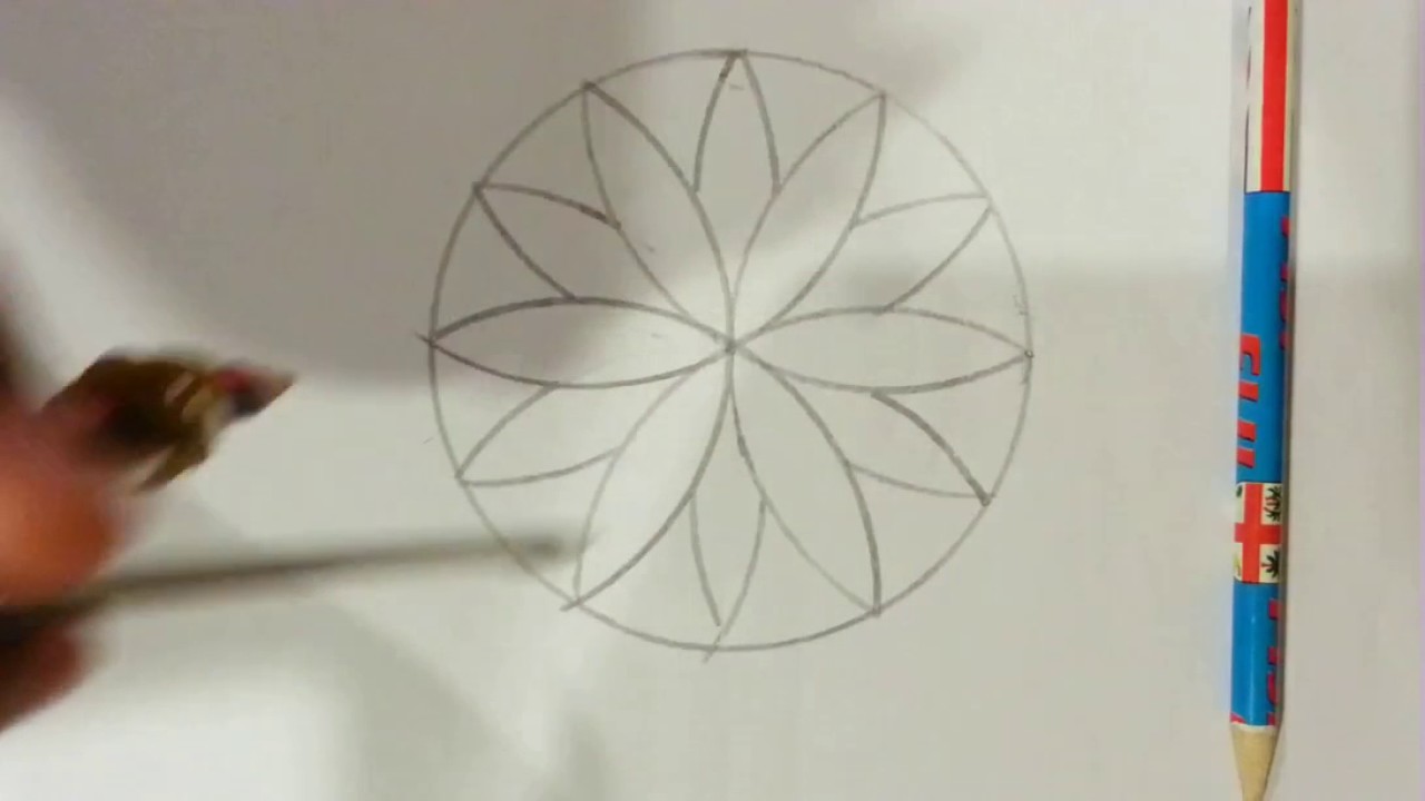 Compass Flower Drawing at Explore collection of