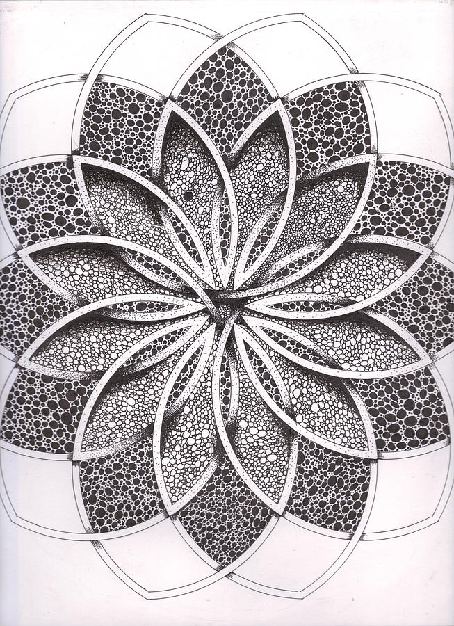653x900 Superfactorial Flower Drawing - Compass Flower Drawing