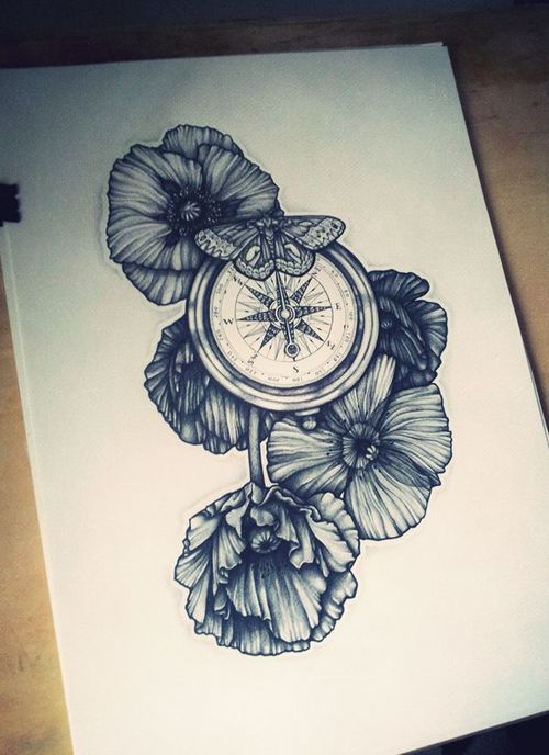 Compass Flower Drawing at PaintingValley.com | Explore collection of ...