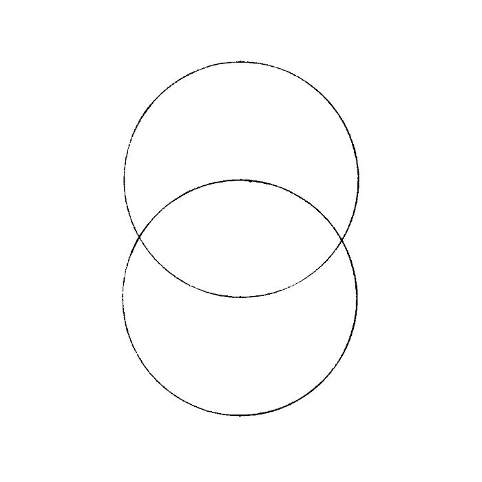 700x700 Flower Of Life How To Draw The Chemical Marriage - Compass Flower Drawing