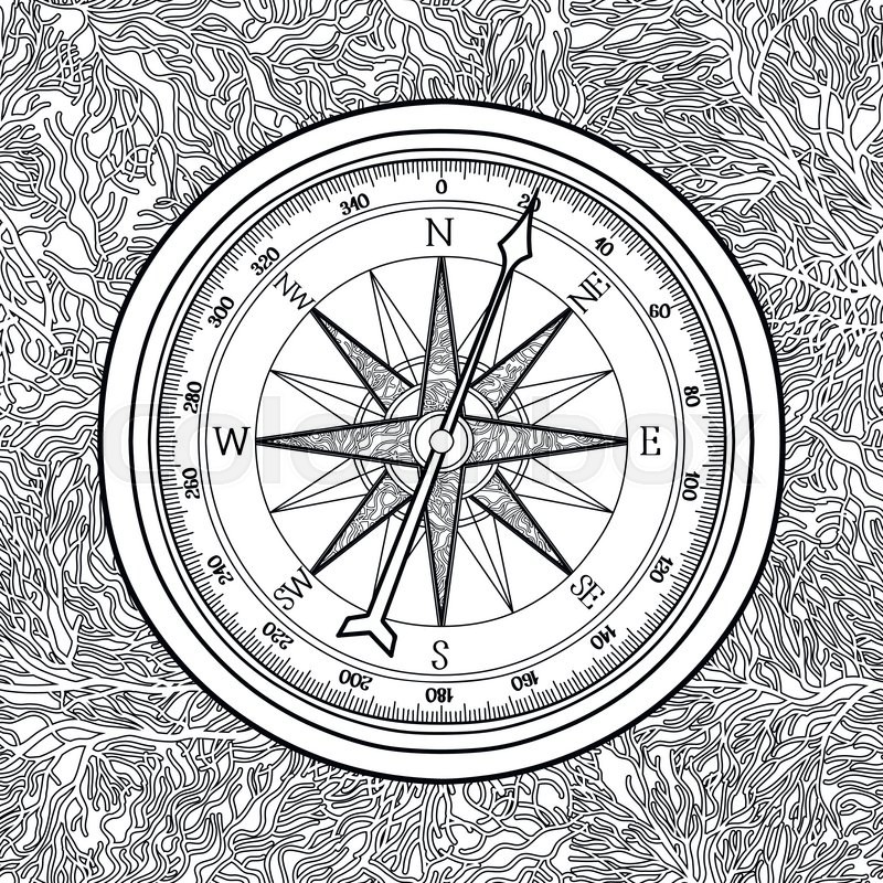 800x800 Graphic Wind Rose Compass Drawn In Stock Vector Colourbox - Compass Line Drawing