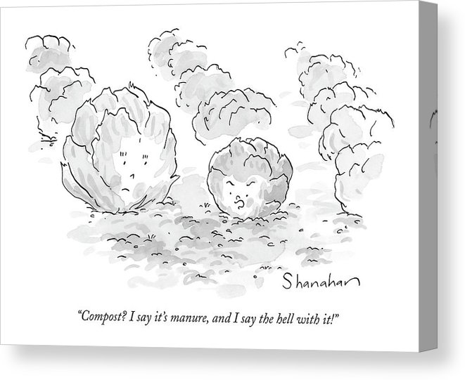 661x541 Compost I Say It's Manure Canvas Print Canvas Art - Compost Drawing