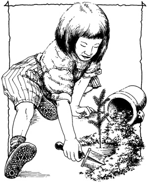 300x372 Composting Glossary - Compost Drawing