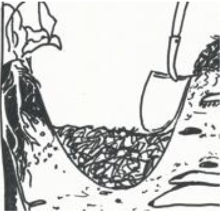 436x421 Do The Rot Thing - Compost Drawing