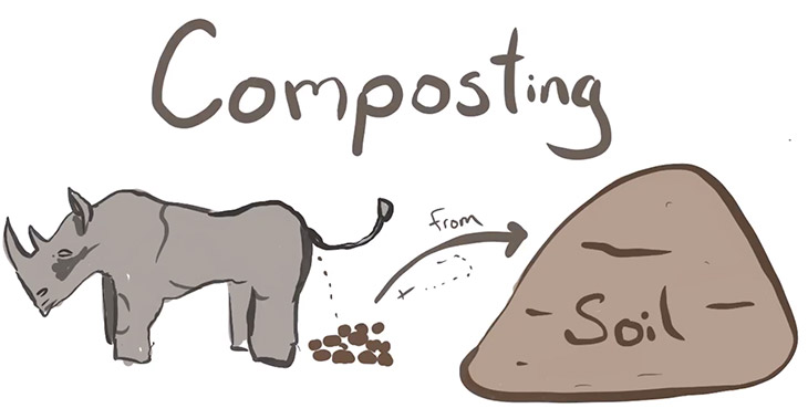 730x379 The Science Of Compost - Compost Drawing