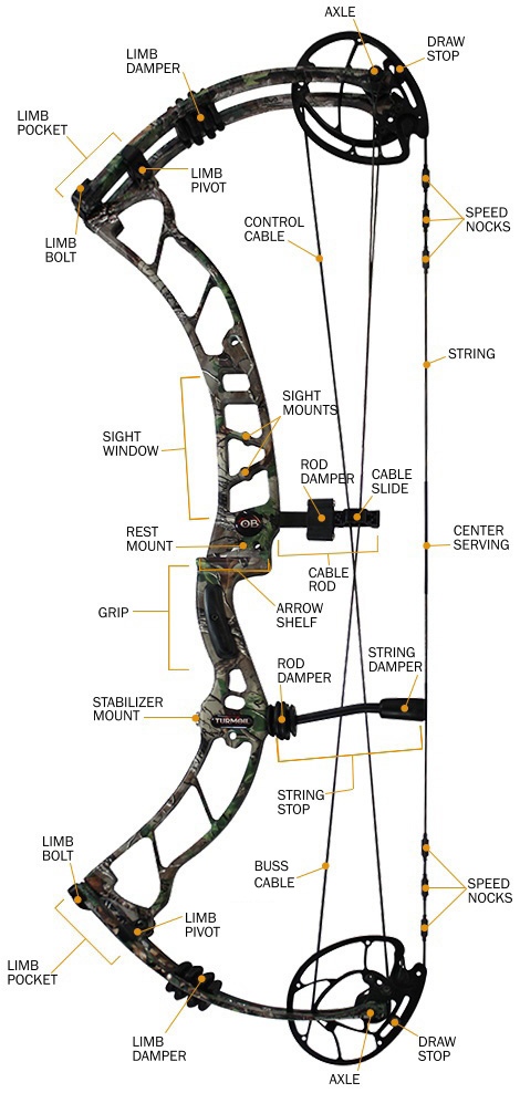 470x988 compound bow specifications and jargon, chapter hunter's friend - Compound Bow Drawing
