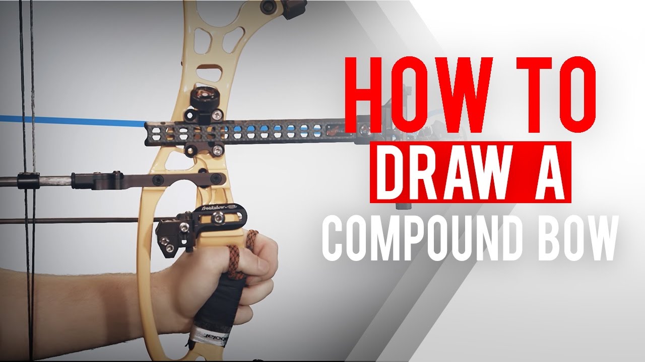 Compound Bow Drawing at Explore collection of