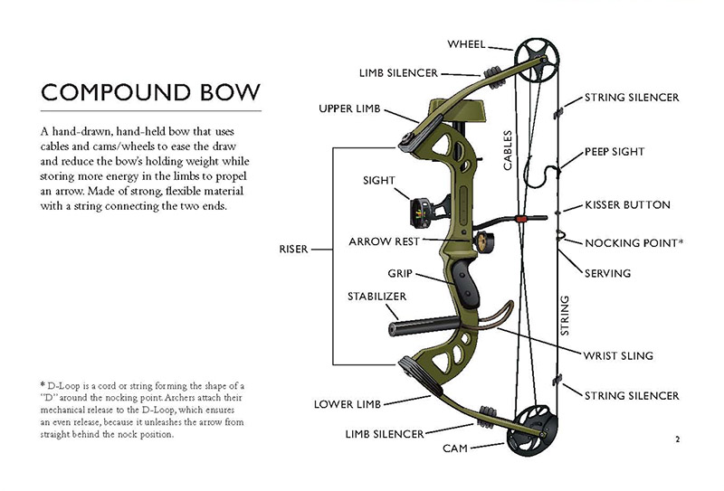 800x543 Why Hawkeye Chose A Recurve Bow For Captain America Civil War - Compound Bow Drawing