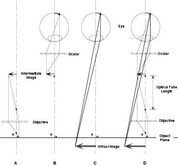 351x327 compound microscope - Compound Light Microscope Drawing