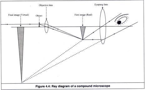 464x290 working principle and parts of a compound microscope - Compound Light Microscope Drawing