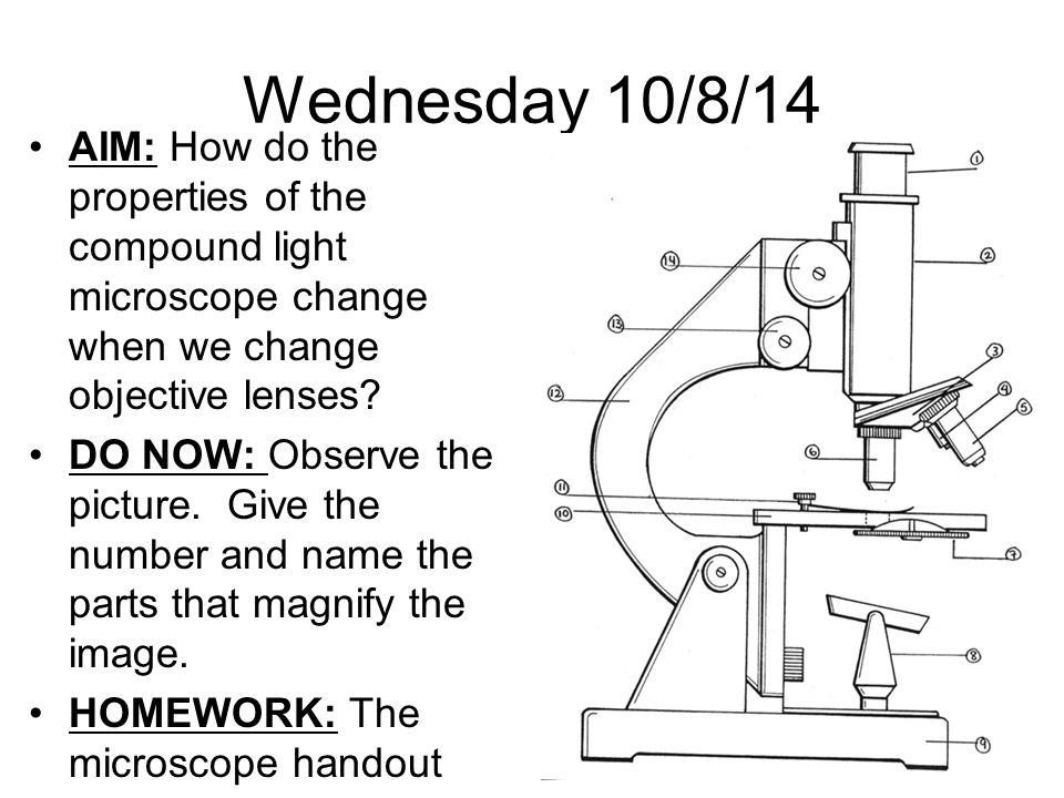 960x720 aim how do the parts of the compound light microscope work - Compound Light Microscope Drawing