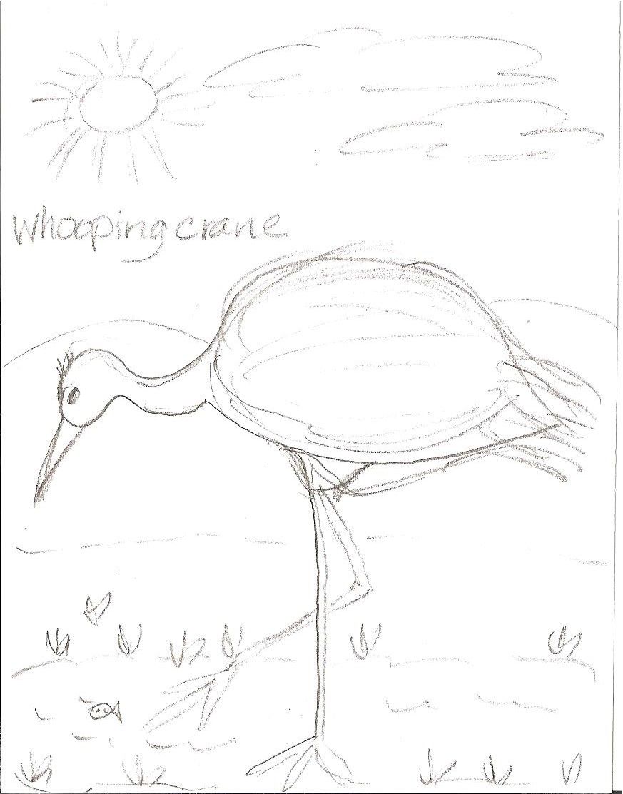 873x1113 Pencil Drawing In The Computer Lab Kindergarten Art - Computer Lab Drawing