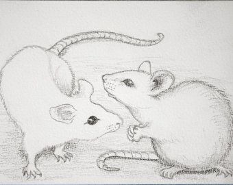 340x270 Drawings Drawings, Pencil Drawings - Computer Mouse Pencil Drawing