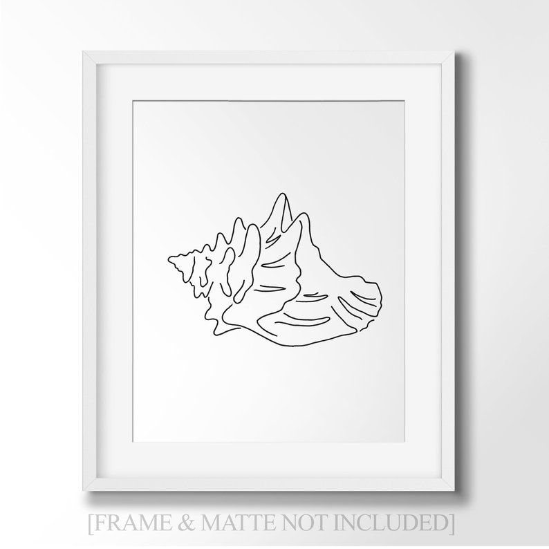 794x794 conch shell line art minimalist wall art drawing outdoors etsy - Conch Drawing