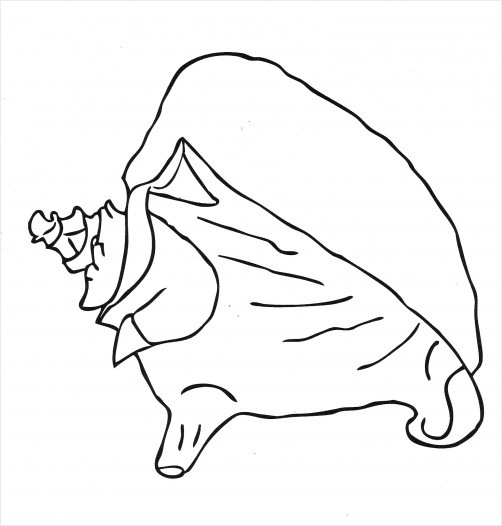 502x526 how to draw a conch shell - Conch Drawing
