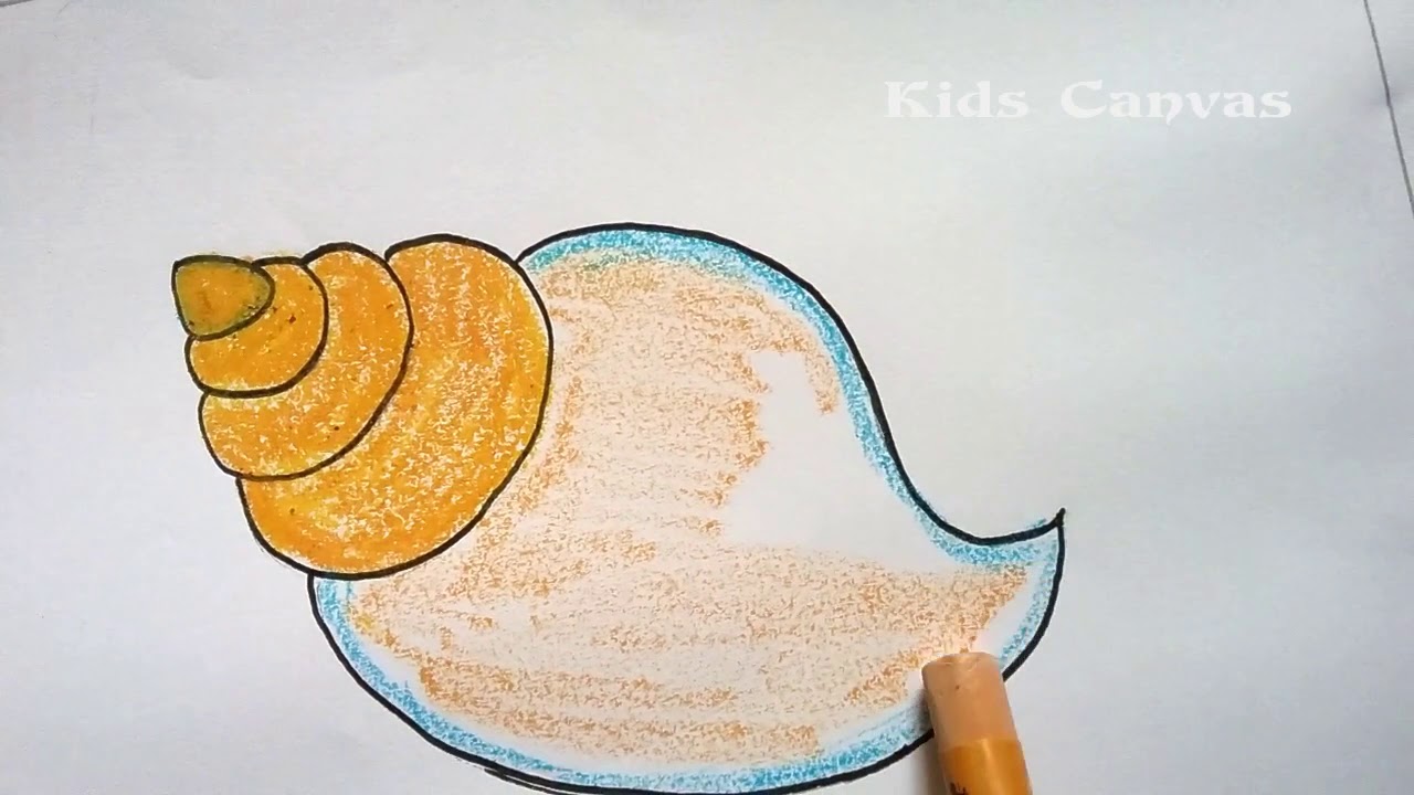 1280x720 how to draw conch shellvery easy drawing for kids, sea shell - Conch Drawing