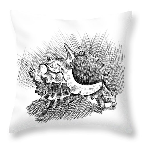 500x500 Spiky Conch Shell A Pen And Ink Drawing Throw Pillow For Sale - Conch Shell Drawing