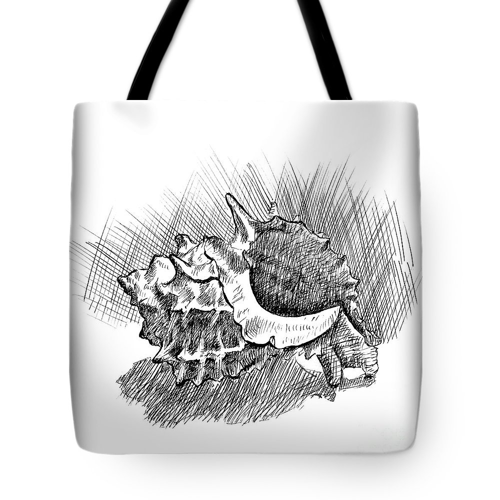 1000x1000 Spiky Conch Shell A Pen And Ink Drawing Tote Bag For Sale - Conch Shell Drawing
