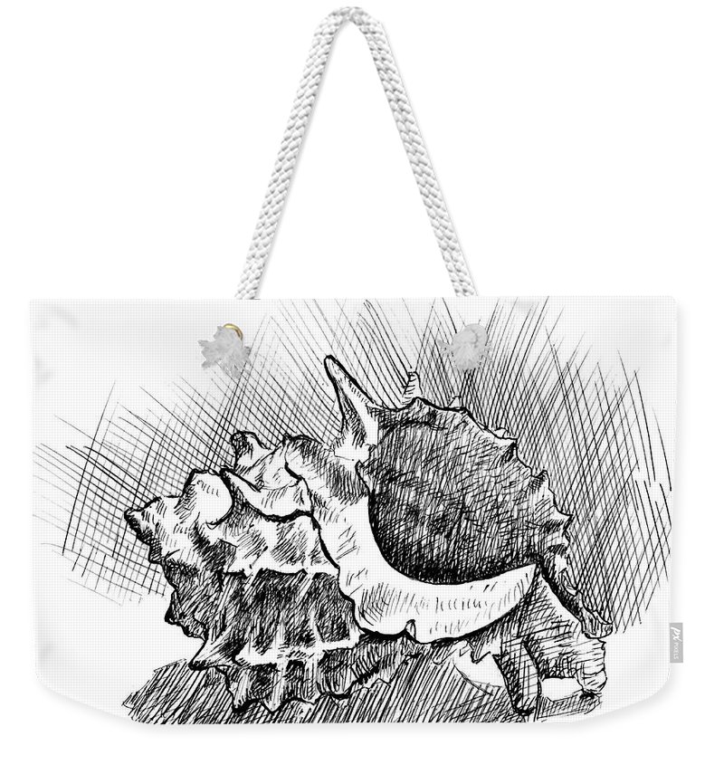 800x845 Spiky Conch Shell A Pen And Ink Drawing Weekender Tote Bag - Conch Shell Drawing