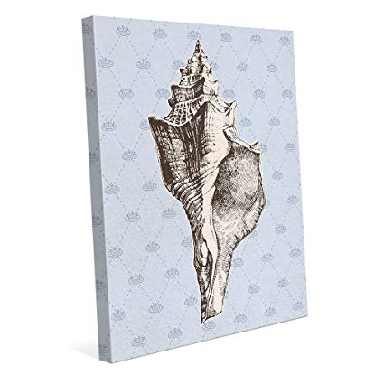 425x425 Vintage Conch Shell Ocean Vintage Victorian Nautical - Conch Shell Drawing