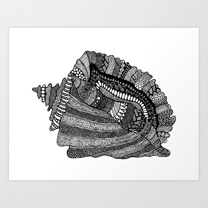 700x700 conch shell art print - Conch Shell Line Drawing