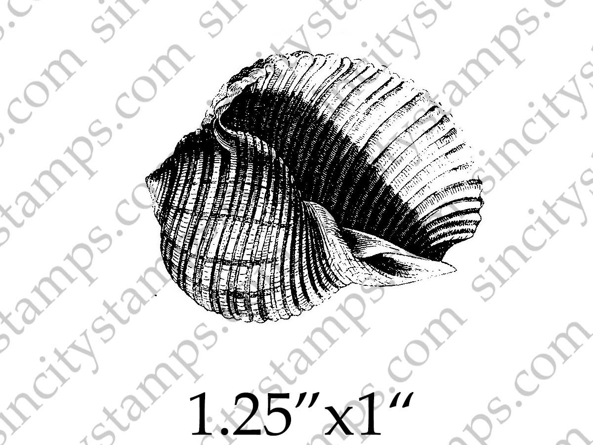 1200x900 conch shell seashell art rubber stamp - Conch Shell Line Drawing