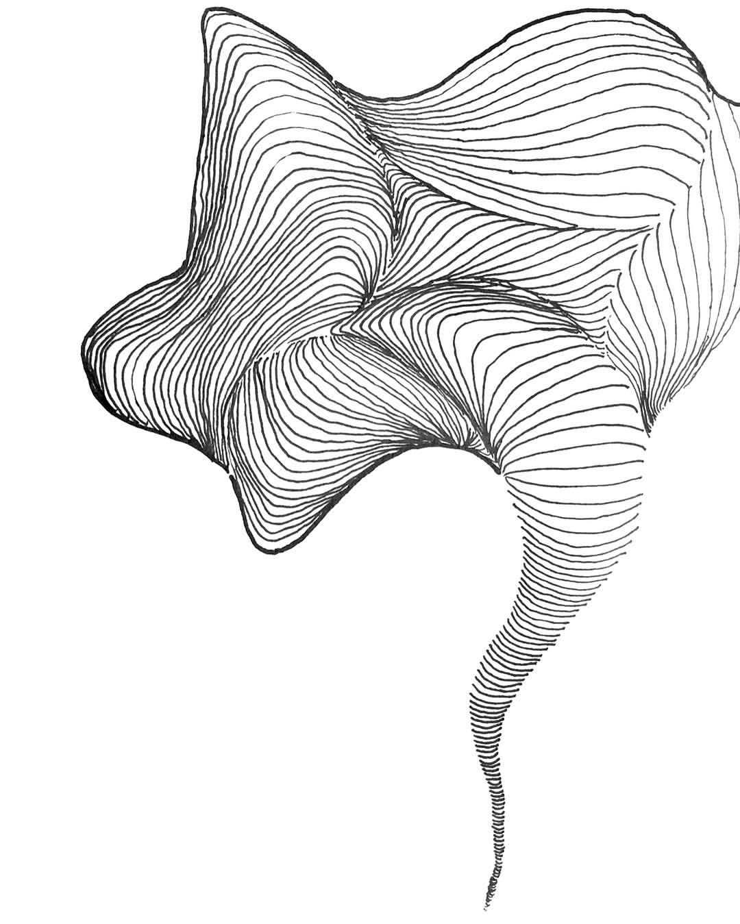 1080x1349 huge collection of 'conch drawing' download more than images - Conch Shell Line Drawing