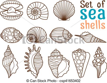 450x347 Huge Collection Of 'shell Line Drawing' Download More Than - Conch Shell Line Drawing
