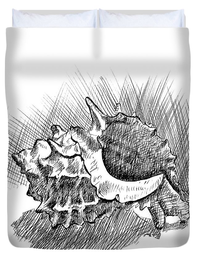 645x853 spiky conch shell a pen and ink drawing duvet cover for sale - Conch Shell Line Drawing