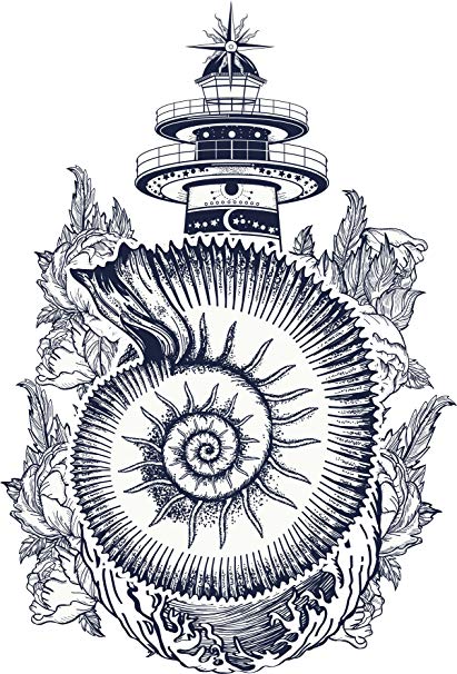 411x606 beautiful conch shell floral light house pen art vinyl - Conch Shell Line Drawing