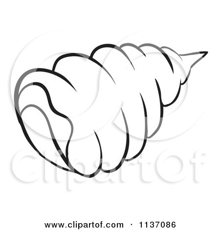 450x470 cartoon of a black and white conch shell - Conch Shell Line Drawing