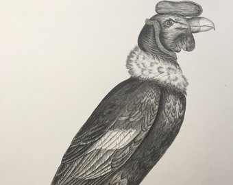 340x270 Condor Drawing Etsy - Condor Drawing