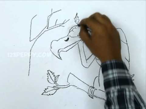 480x360 How To Draw A Condor Eagle - Condor Drawing