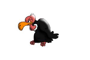 300x200 How To Draw A Funny Condor - Condor Drawing