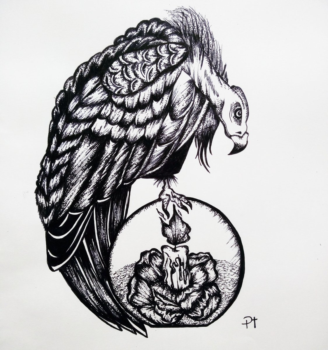 1125x1200 Patricia Lilith Tessaro On Twitter Condor - Condor Drawing
