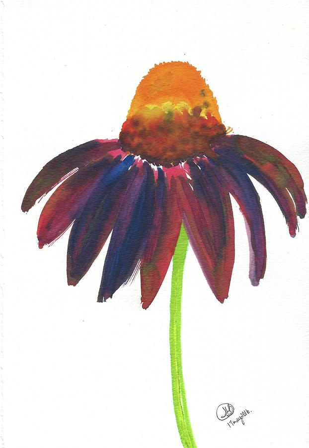 Coneflower Drawing at Explore collection of