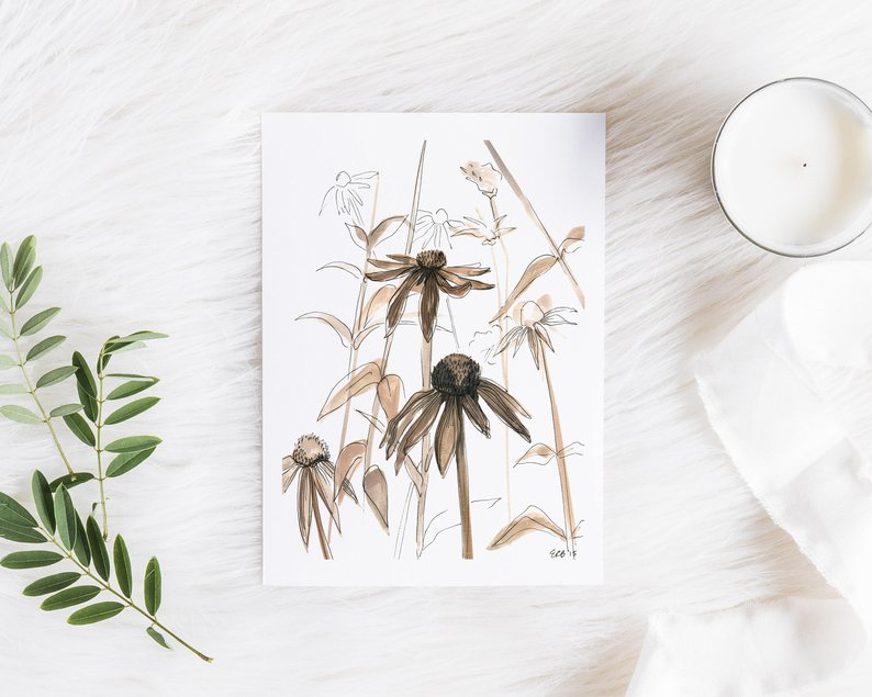 794x635 Art Print Coneflower Drawing Original Plant Drawing Art Etsy - Coneflower Drawing