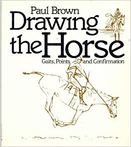 260x291 Drawing The Horse Gaits, Points, And Confirmation Paul Brown - Confirmation Drawing