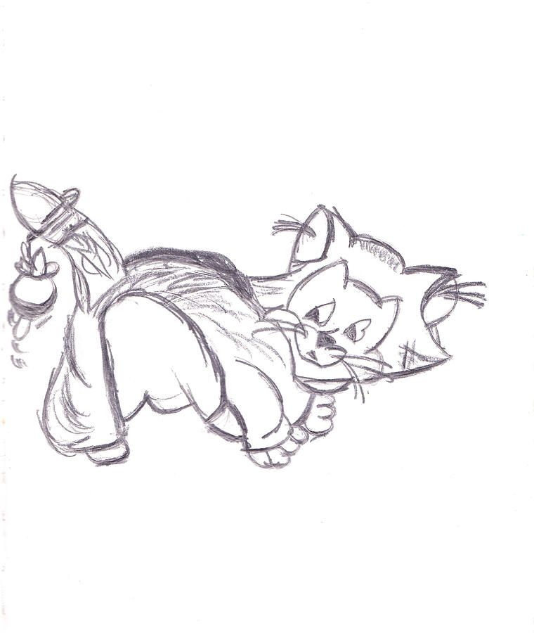 760x900 Confused Figarro Drawing - Confused Drawing