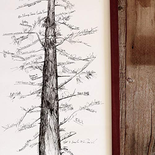 500x500 conifer guestbook alternative tree, hand drawn design - Conifer Drawing