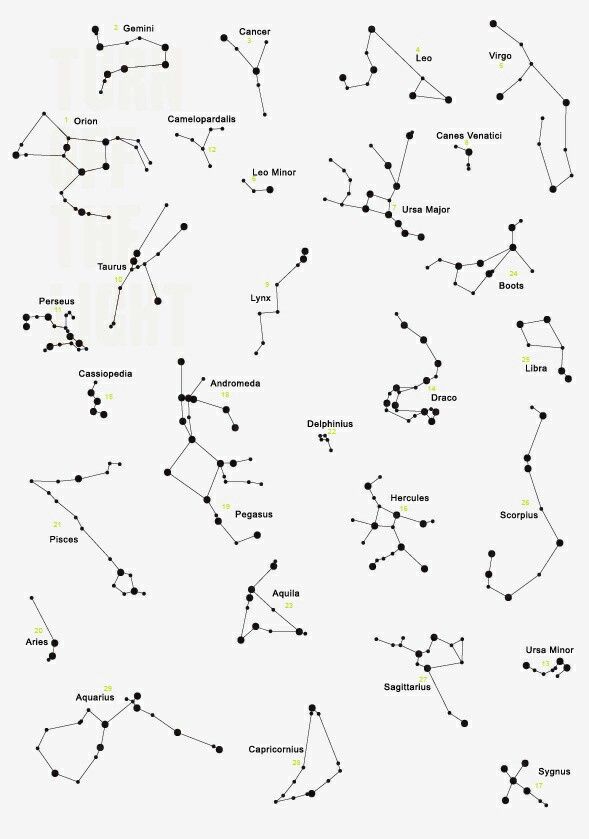 589x839 photo - Constellation Drawing