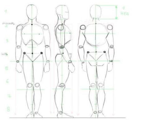 467x389 Male Anatomy Construction Lines Draw People - Construction Line Drawing