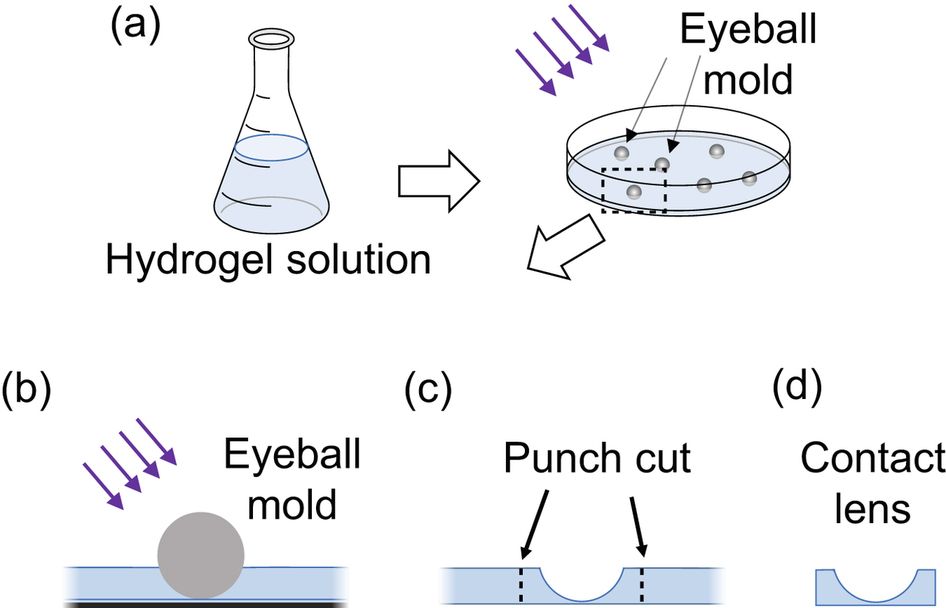 946x608 fabricating customized hydrogel contact lens scientific reports - Contact Lens Drawing