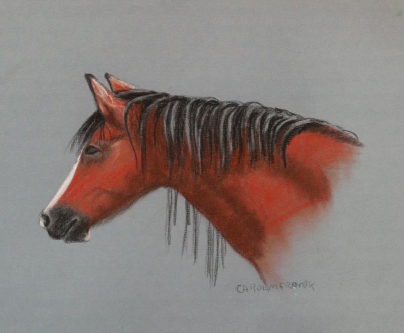 800x660 drawing in conte crayons - Conte Crayon Drawing