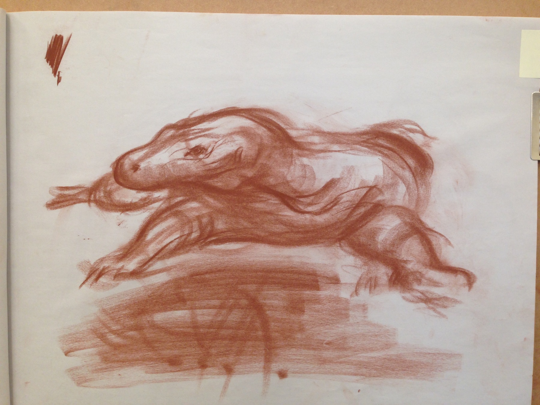 1800x1350 sketches - Conte Crayon Drawing