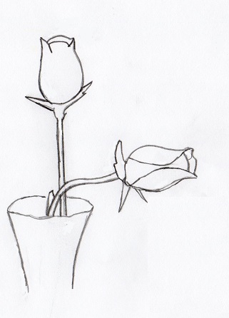 321x446 Contour Drawing - Contour Drawing