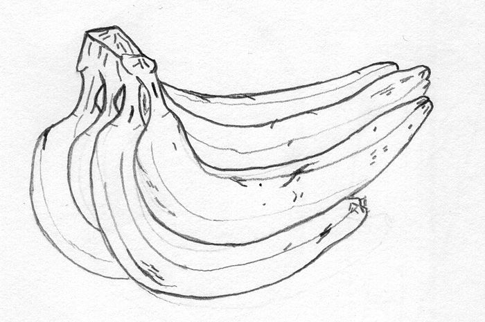 700x465 Drawiiingggg Contour Line Drawing - Contour Drawing