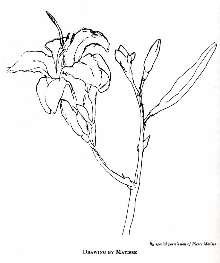 easy contour line drawing plant